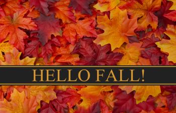 Hello Fall!