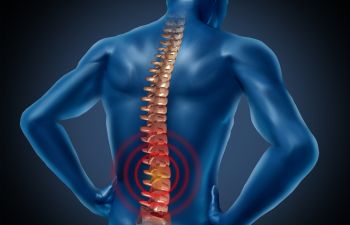 My Back Hurts: Is It Strained Muscles Or A Slipped Disc? - Atlanta, GA -  Spine Surgery